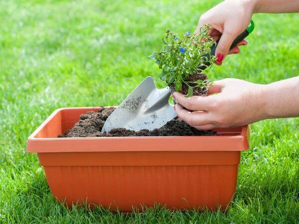 Przygotuj się do wiosny: Przewodnik krok po kroku jak przygotować ogród